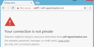 SSL privacy error